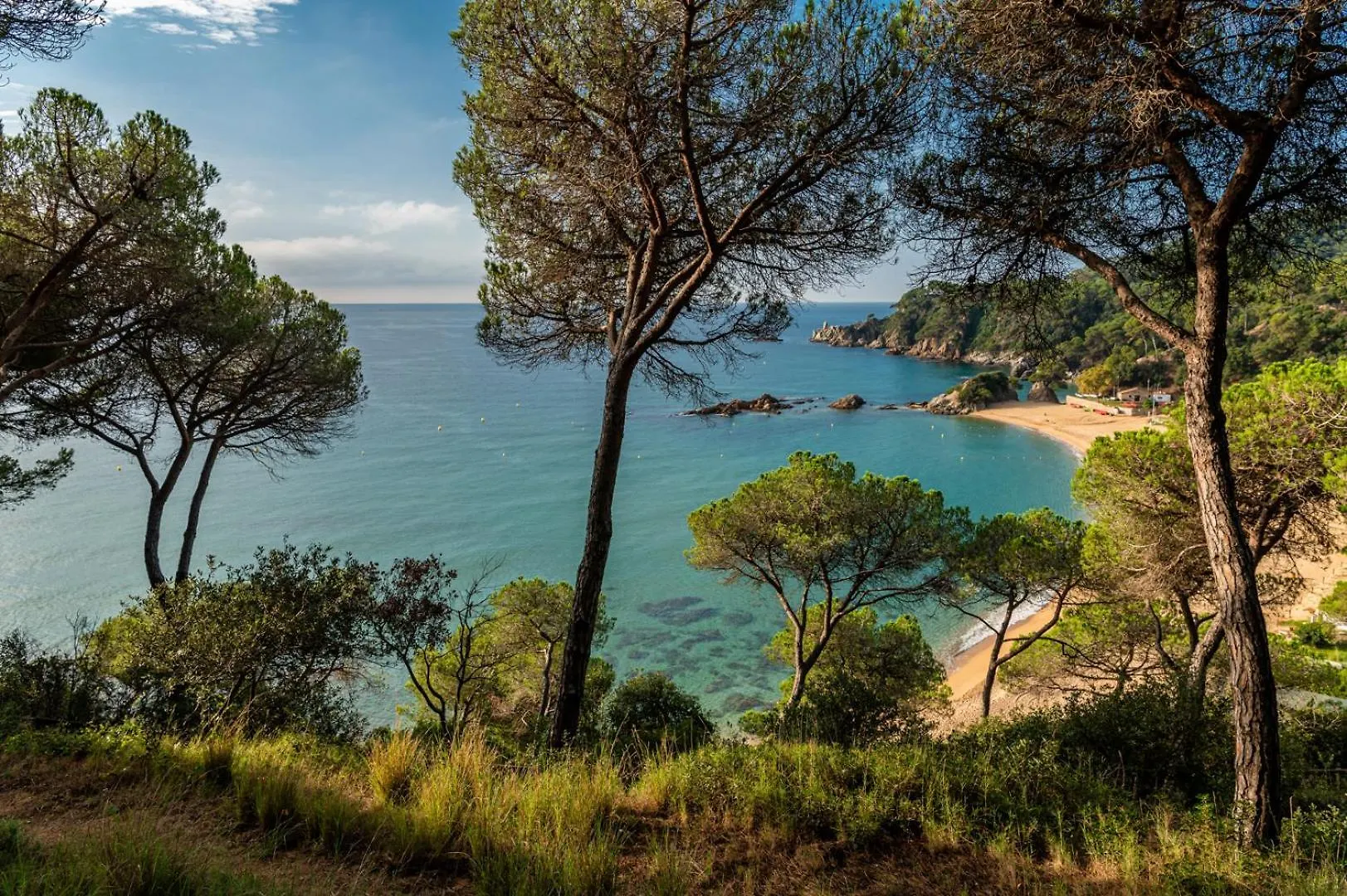 Apartment Albamar Apartaments Lloret de Mar Spain